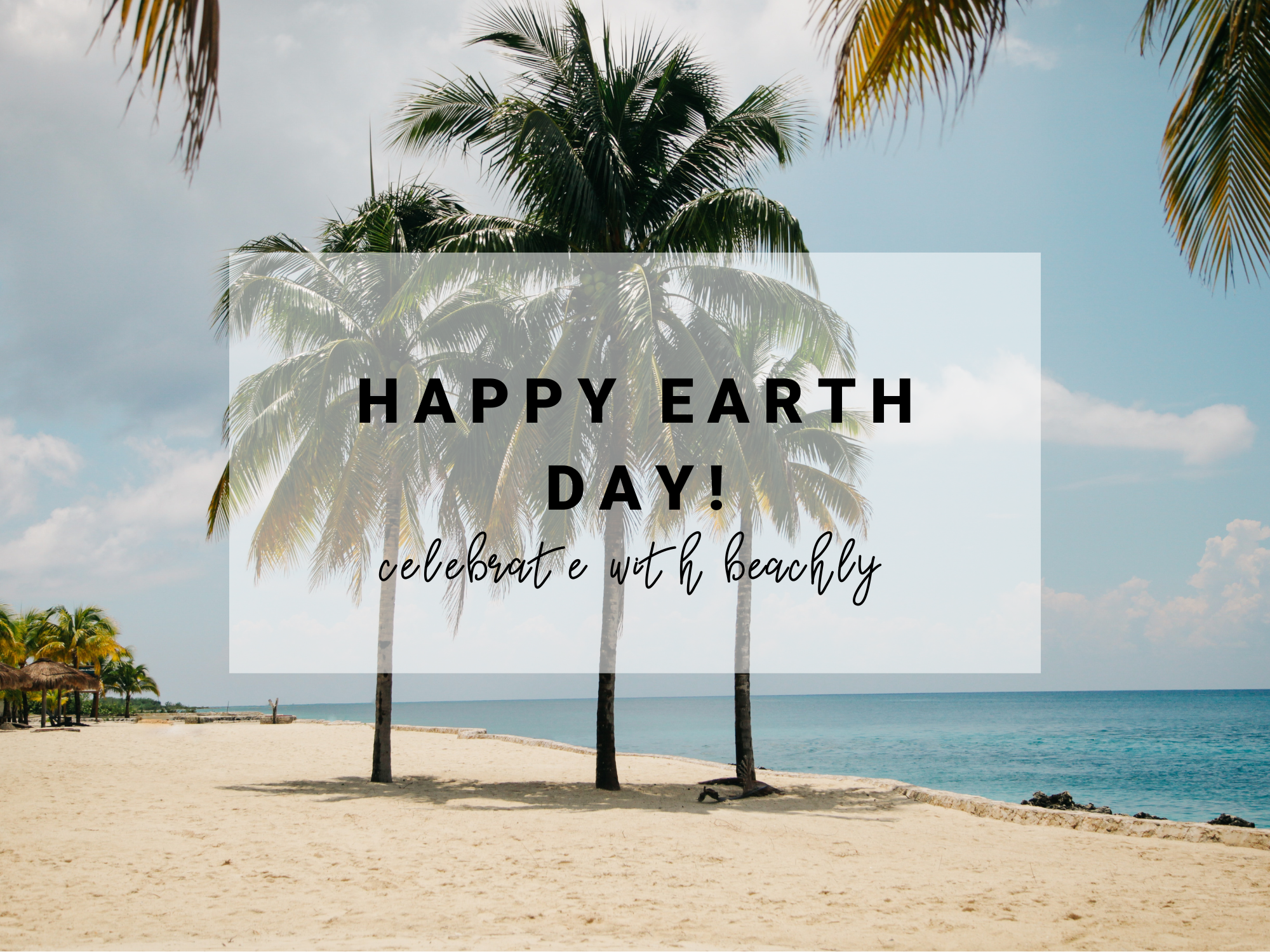 Earth Day Beachly Palm Trees Clean Beach