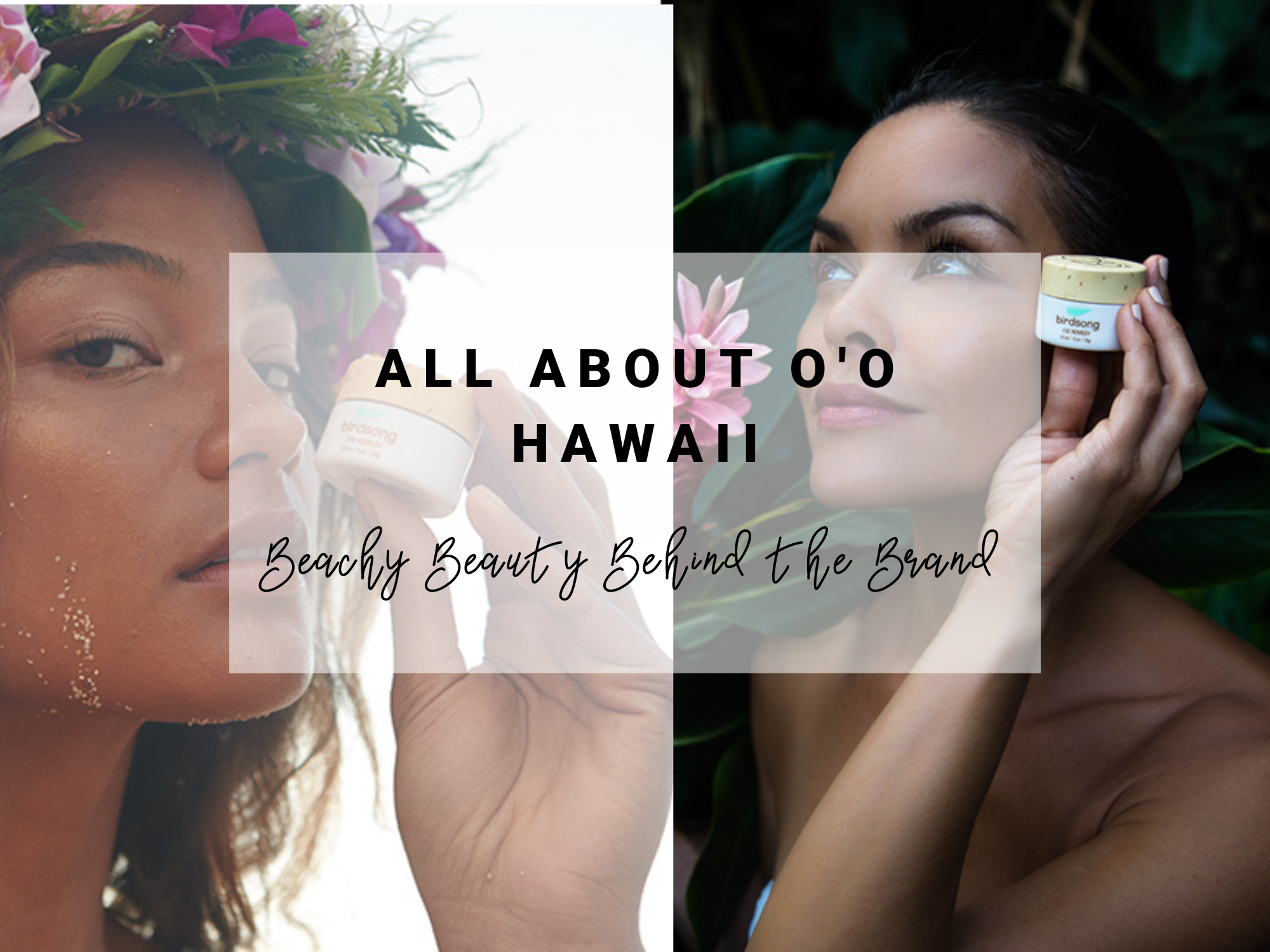 All About O'o Hawaii