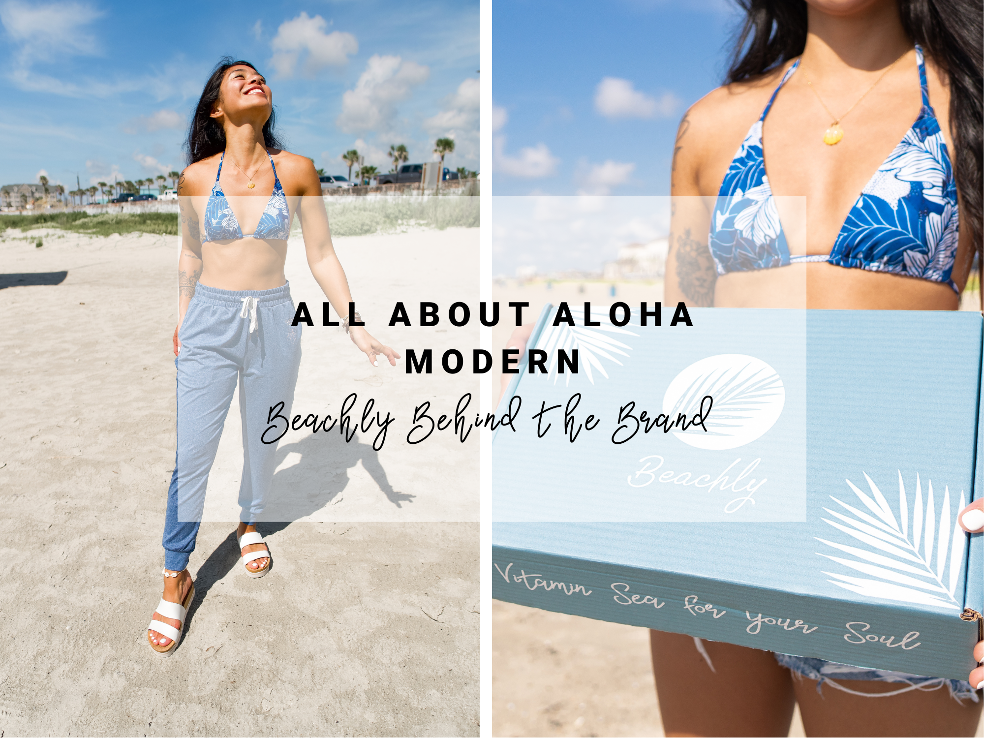 All About Aloha Modern