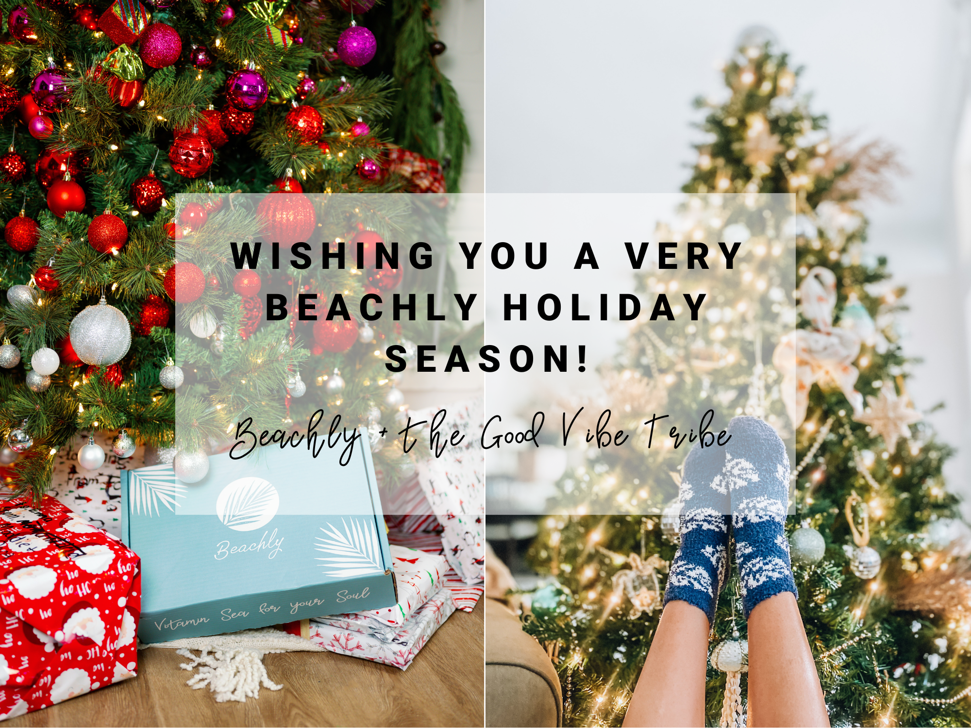 Wishing You A Very Beachly Holiday Season!