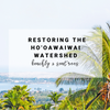 Beachly x SeaTrees: Restoring the Ho'oawaiwai Watershed