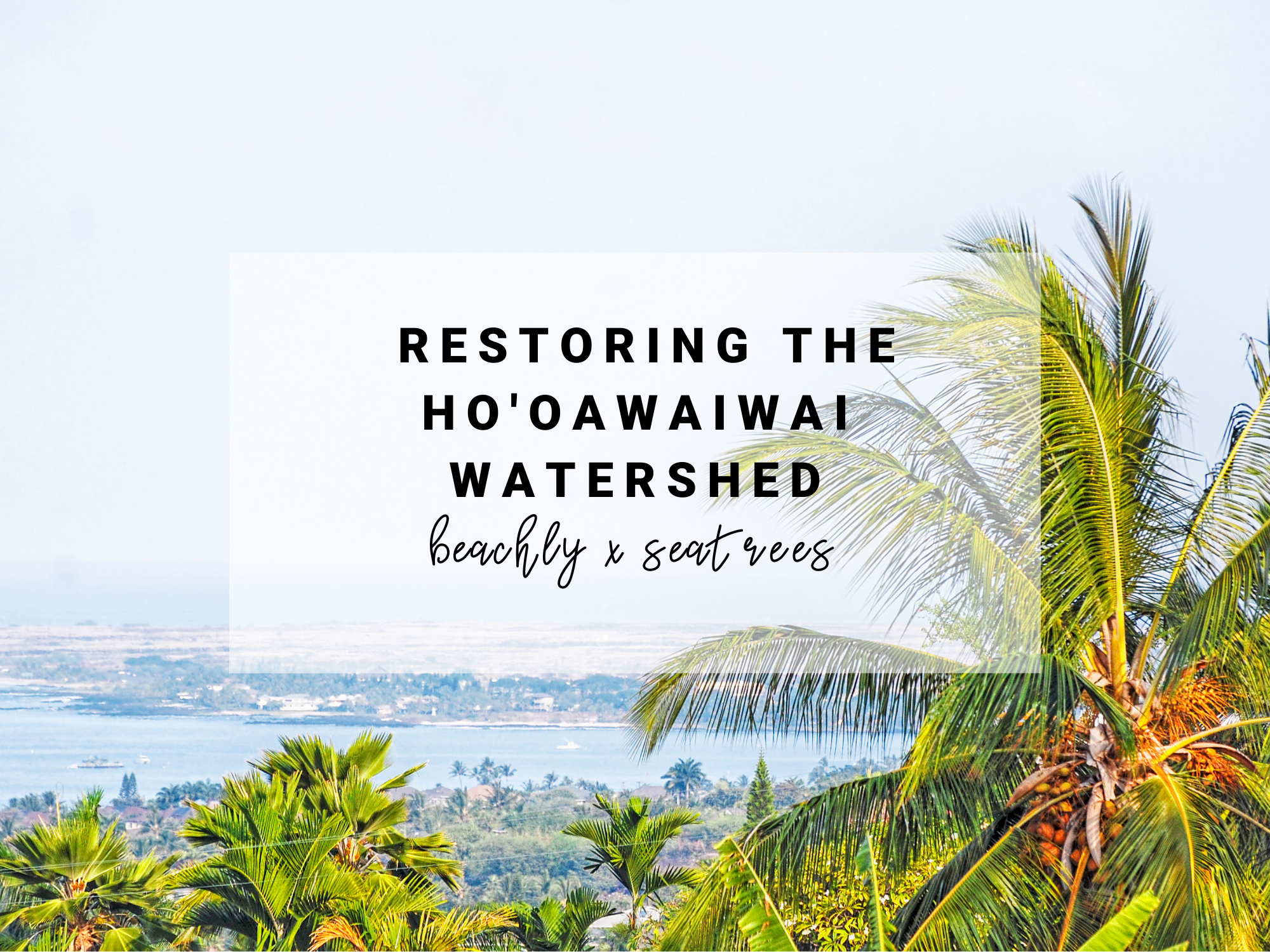 Beachly x SeaTrees: Restoring the Ho'oawaiwai Watershed