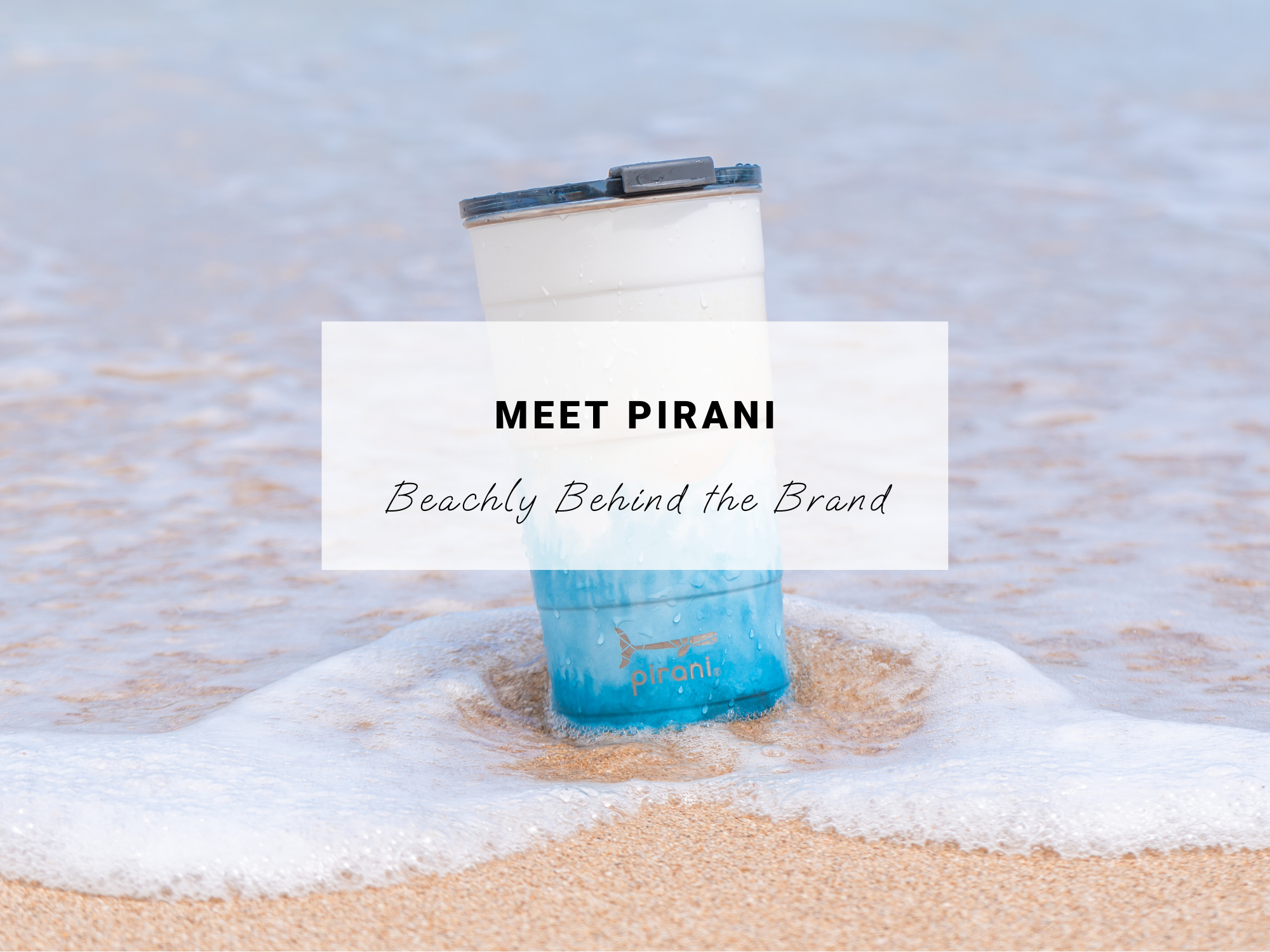 Meet Pirani