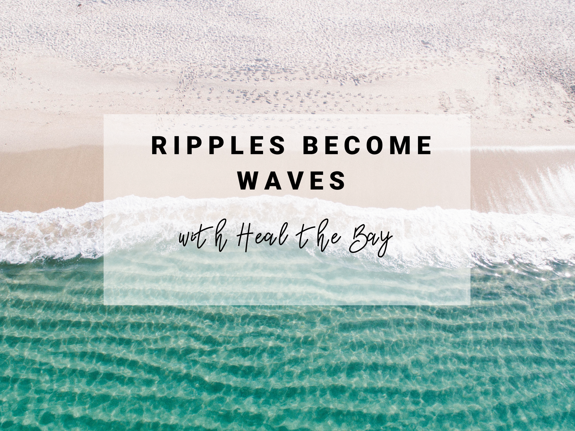 Ripples Become Waves with Heal the Bay