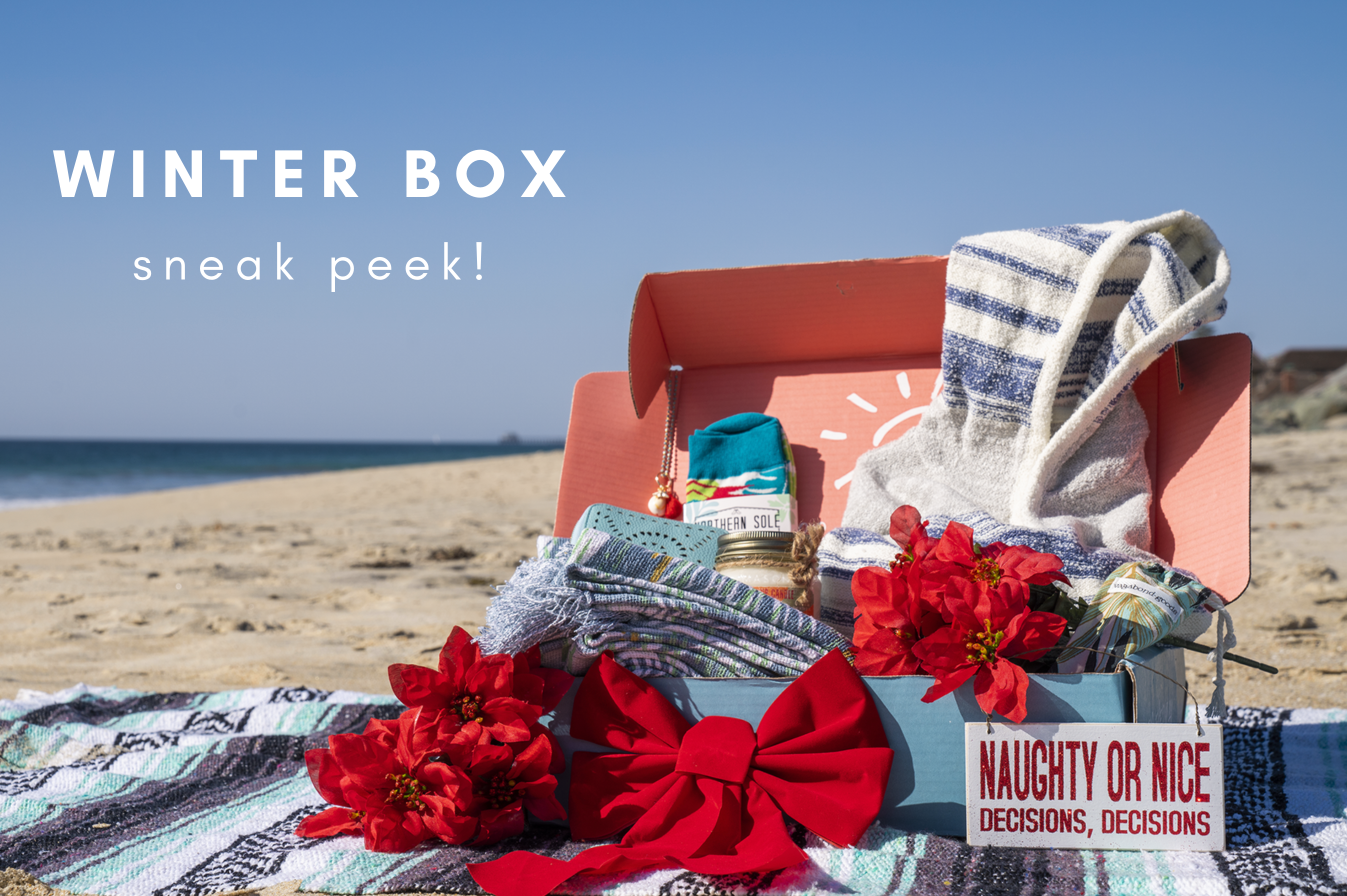 Sneak Peek Inside the Winter Box