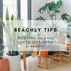BEACHLY TIPS: BRIGHTEN UP YOUR HOME WITH SOME GREENERY!