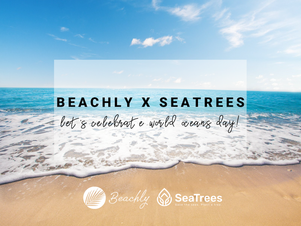 Beachly SeaTrees World Ocean's Day Partnership
