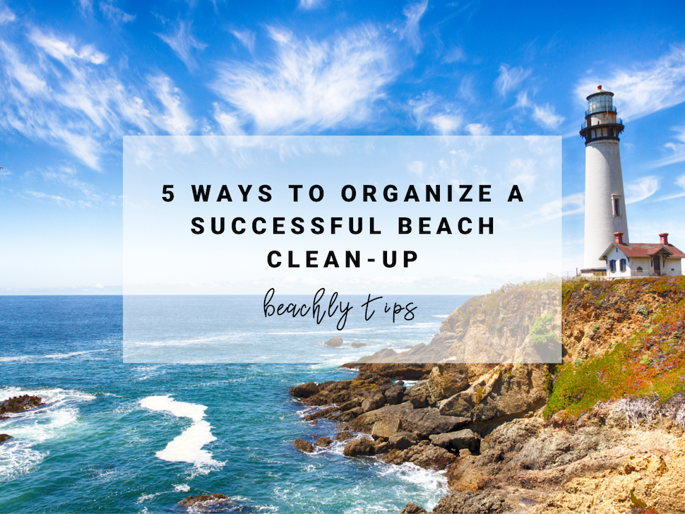 How to organize a successful beach clean-up