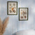 Primitives By Kathy - Shell Study Framed Wall Art