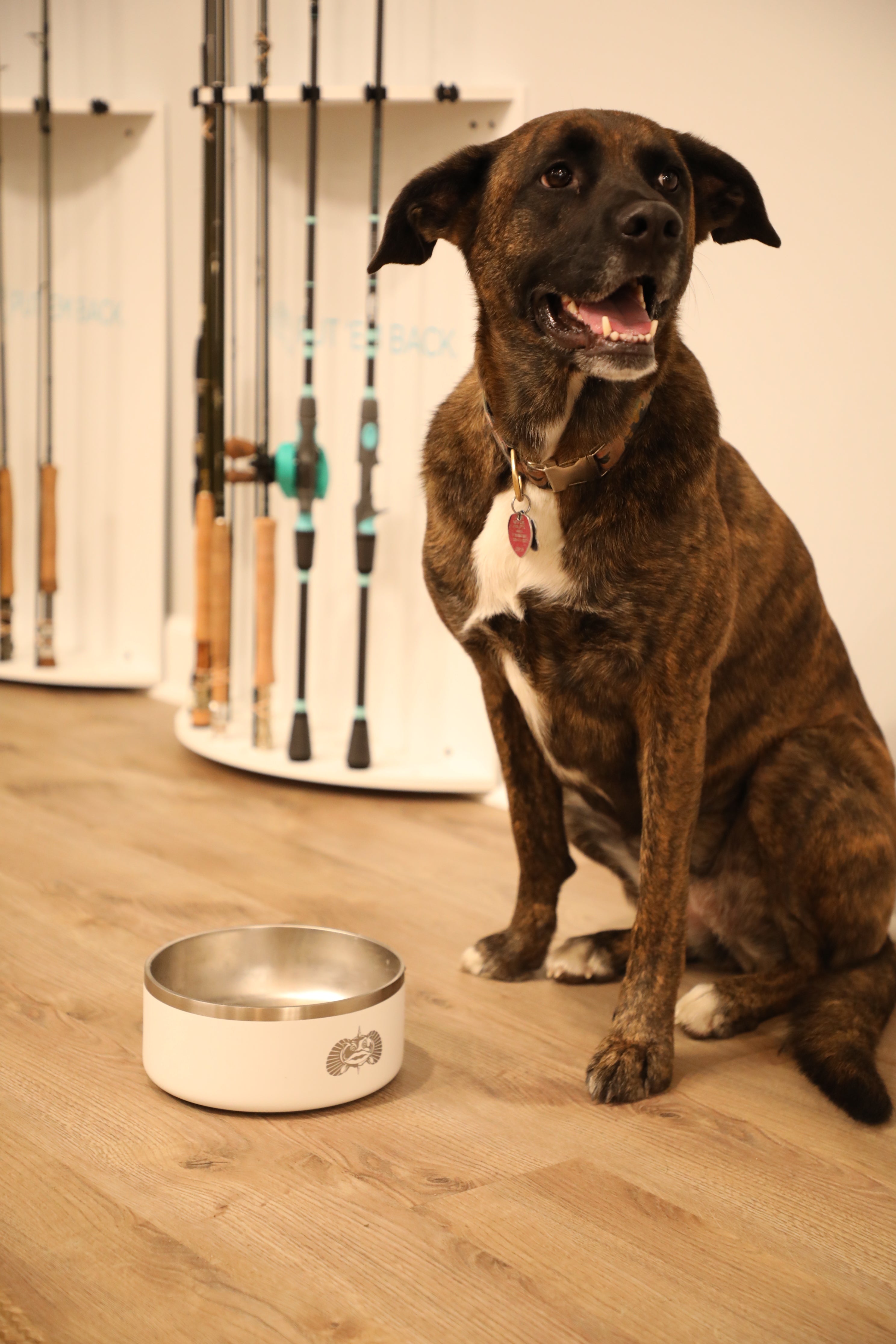 Toadfish - Non-Tipping Dog Bowl - White (Add-On)