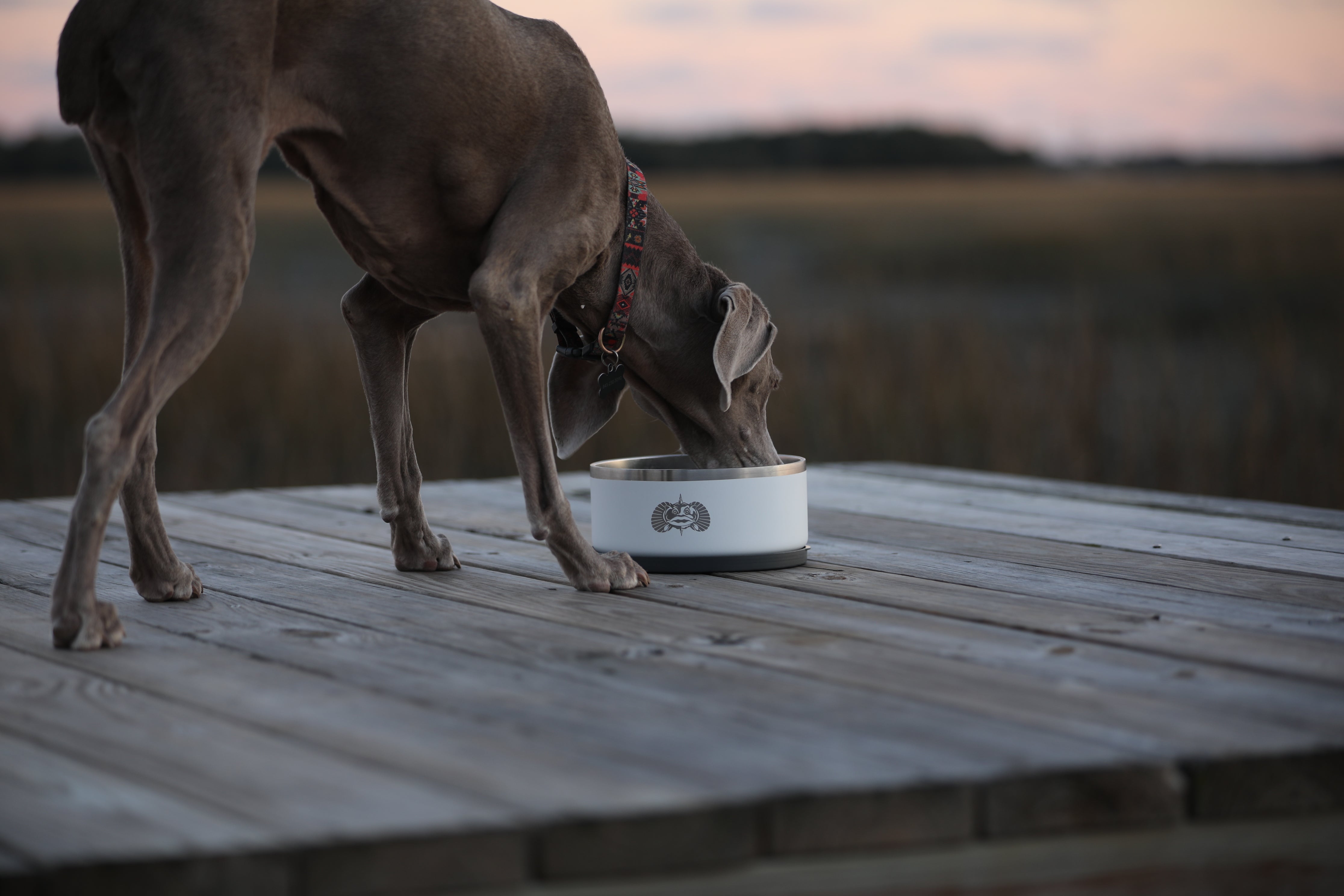 Toadfish - Non-Tipping Dog Bowl - White (Add-On)