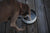 Toadfish - Non-Tipping Dog Bowl - White (Add-On)