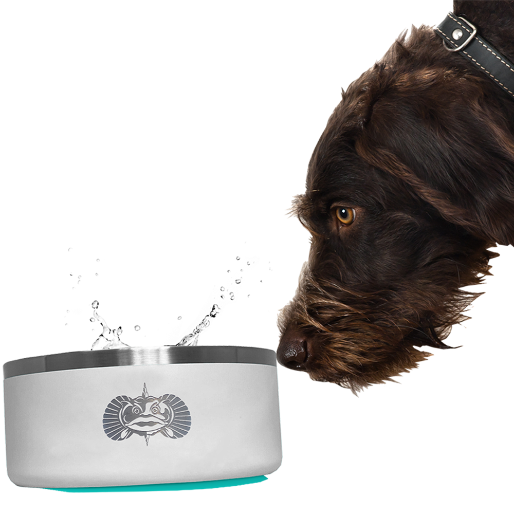Toadfish - Non-Tipping Dog Bowl - White (Add-On)