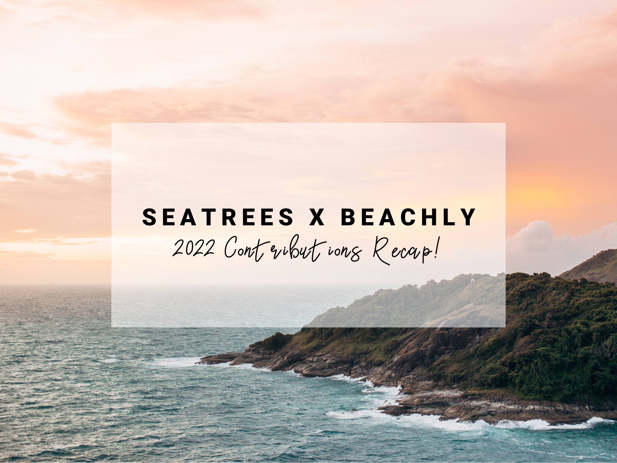 SeaTrees x Beachly 2022 Recap!