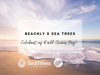 Let's Celebrate World Oceans Day with SeaTrees!