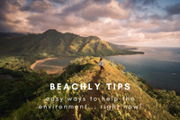Easy Ways To Help Save The Environment | Beachly
