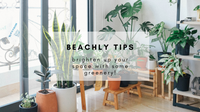BEACHLY TIPS: BRIGHTEN UP YOUR HOME WITH SOME GREENERY!