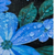 Beach Riot - The Blue Bloom Bucket Hat