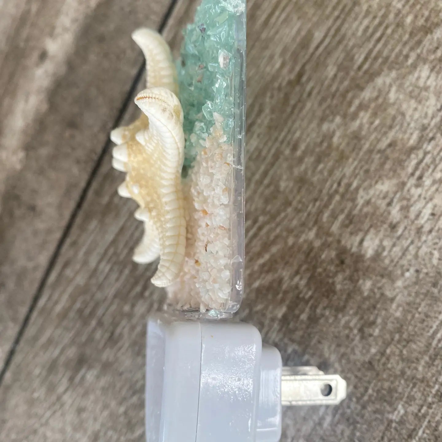 Sea Dreams Coastal Art - Coastal Night Light Starfish with Seashells