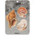 Primitives By Kathy - Seashells Magnet Set