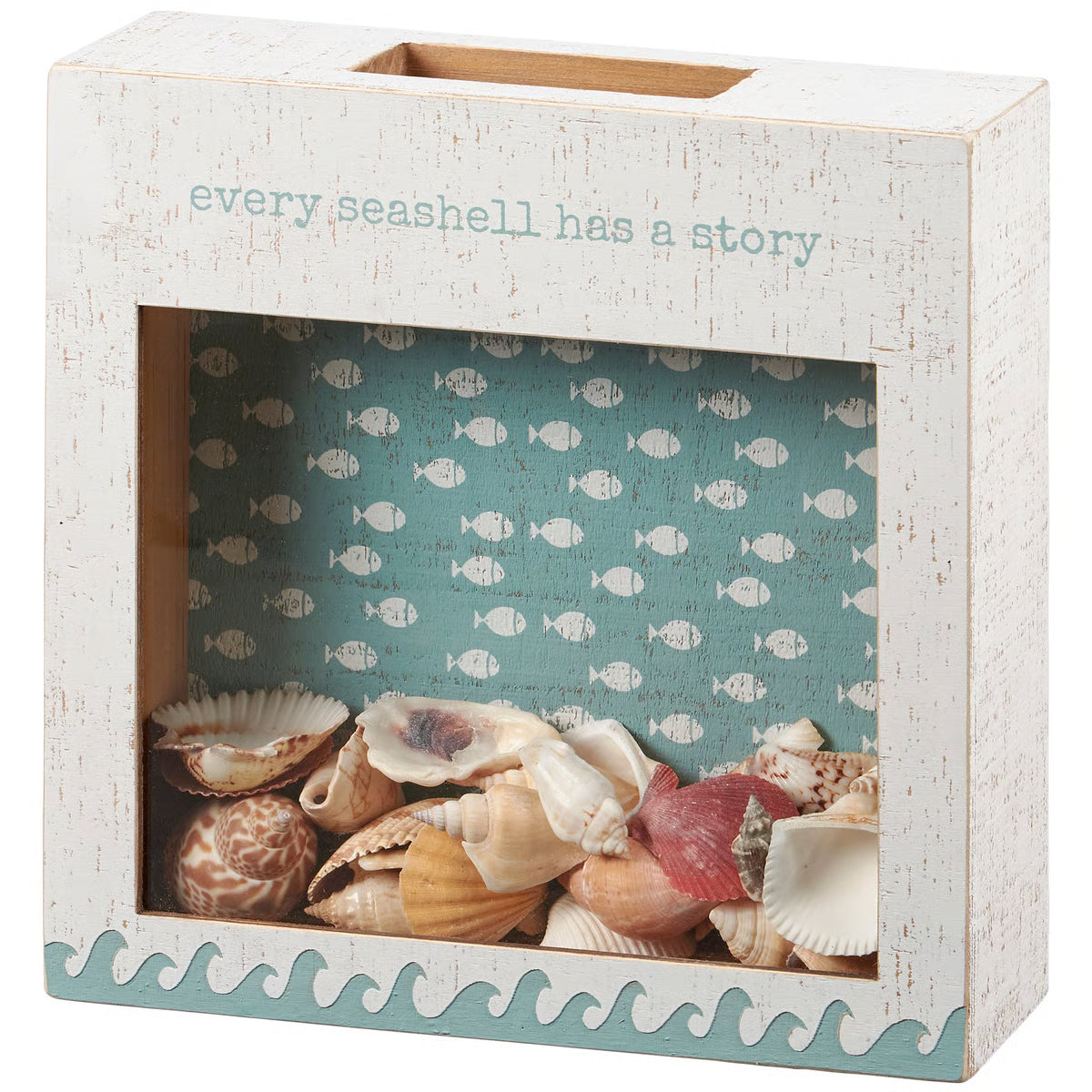 Every Seashell Shell Holder
