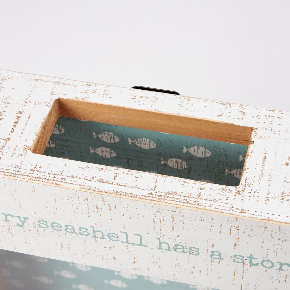 Every Seashell Shell Holder