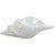 Conch Shell Sitter