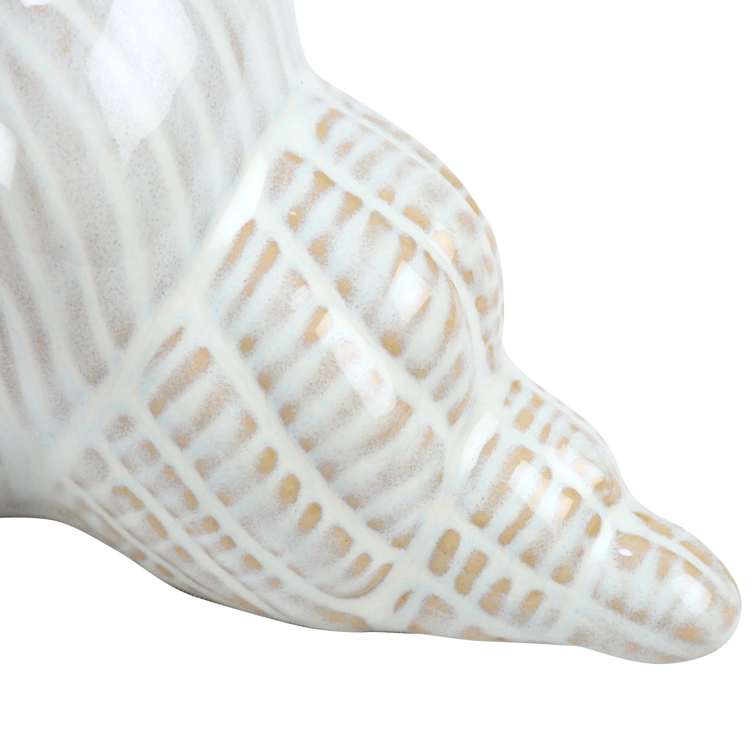 Conch Shell Sitter