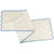 Blue Scallop Runner