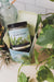 Broken Top - Island Breeze Soy Candle (Add-On)