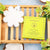 Spongellé - Coconut Verbena Boxed Flower
