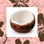 The Coconut Collective - Coconut Cove Jewelry Dish