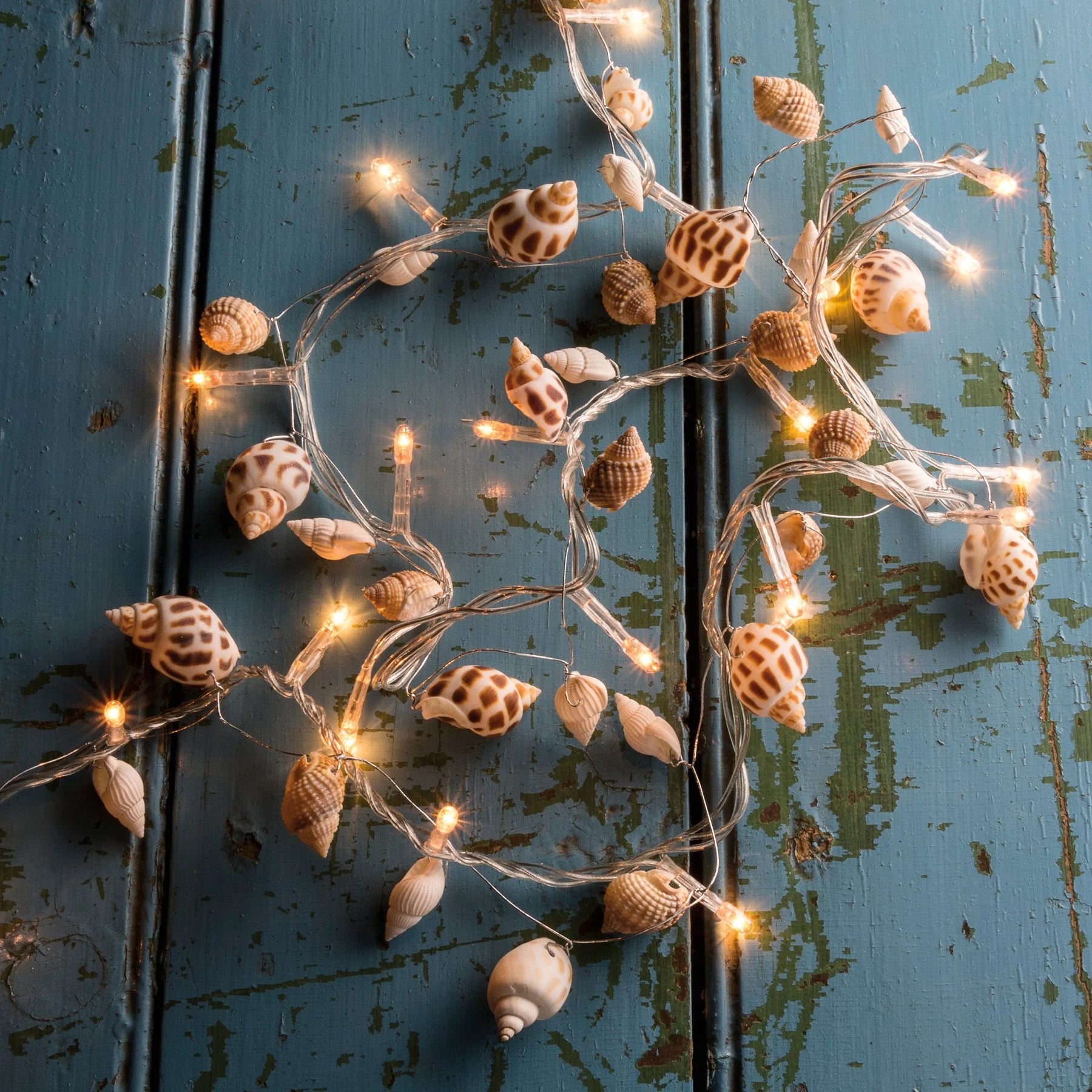 Small Seashell String Lights