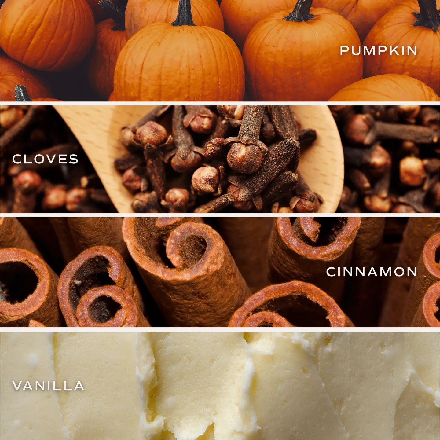 Sweet Water Decor -  Pumpkin Spice Soy Candle - 8 oz Pumpkin Jar