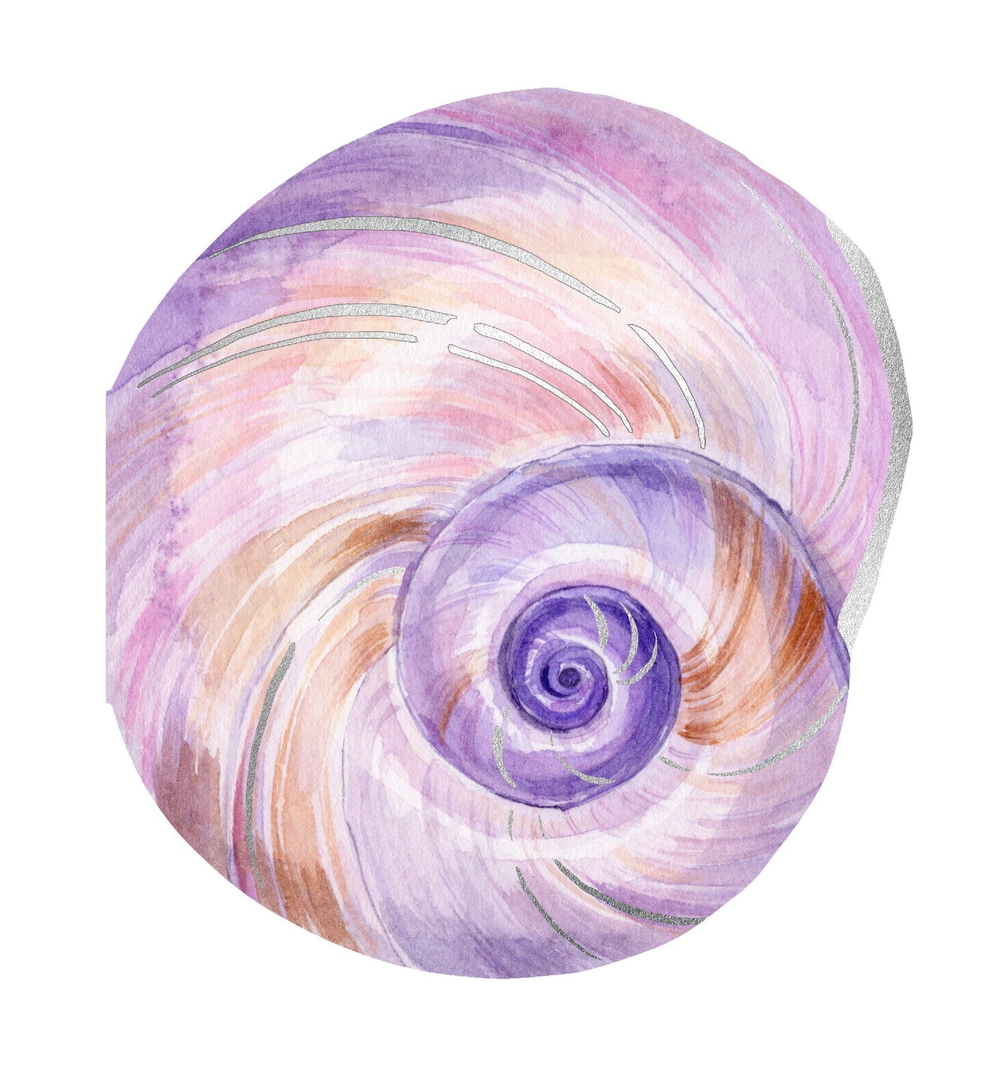 Chronicle Books - Shell Notes