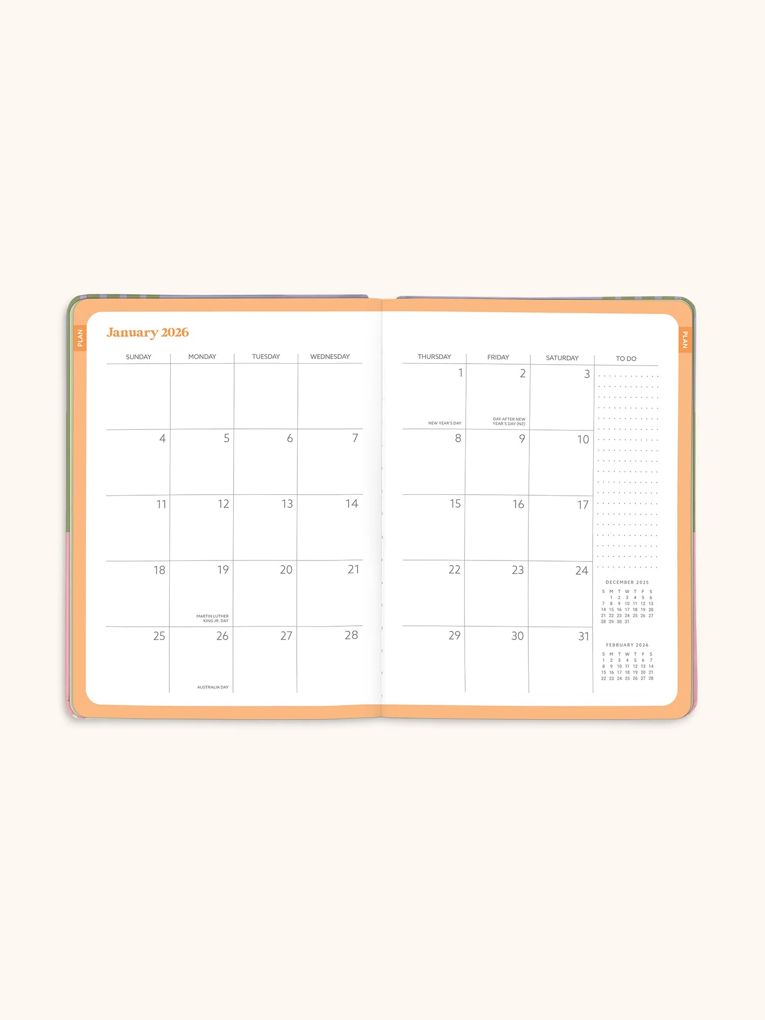 Studio Oh - 2026 Color Block Good Day Monthly Planner