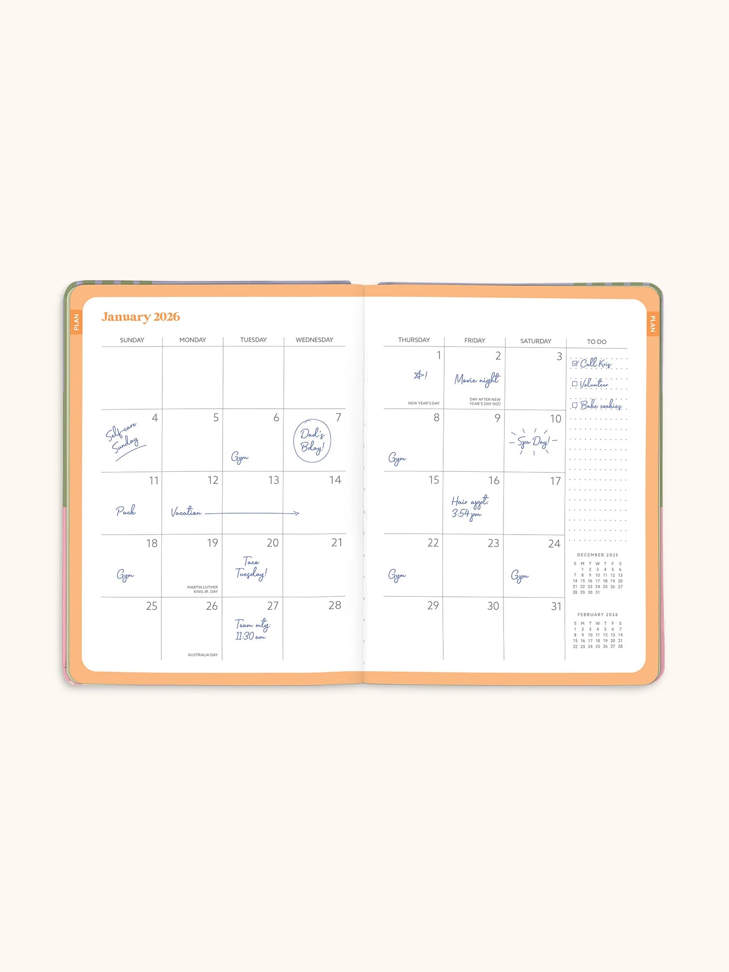 Studio Oh - 2026 Color Block Good Day Monthly Planner