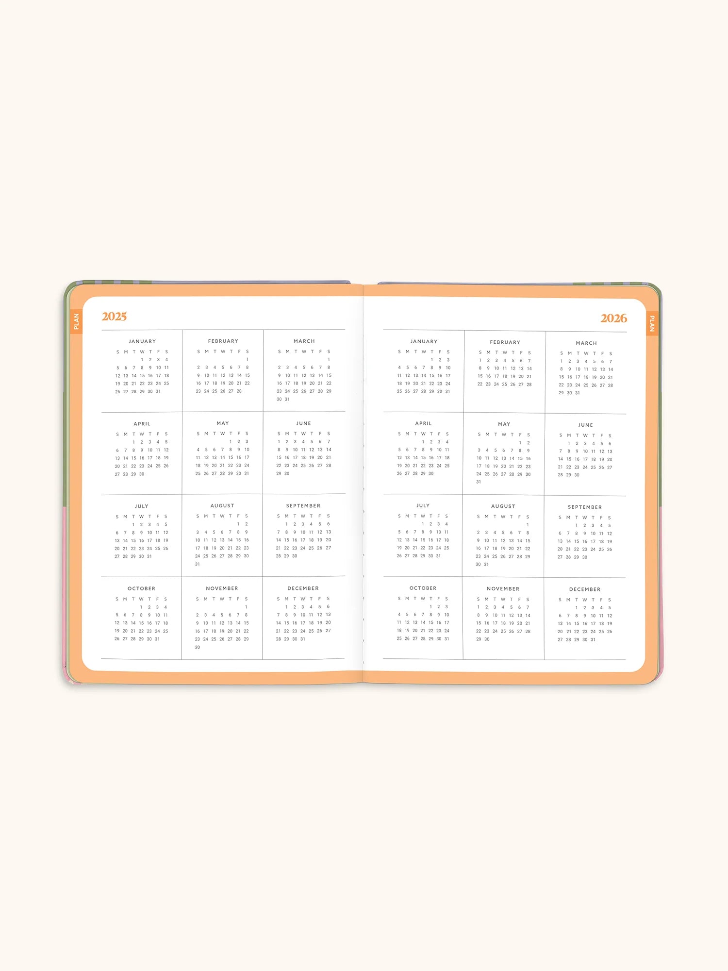 Studio Oh - 2026 Color Block Good Day Monthly Planner