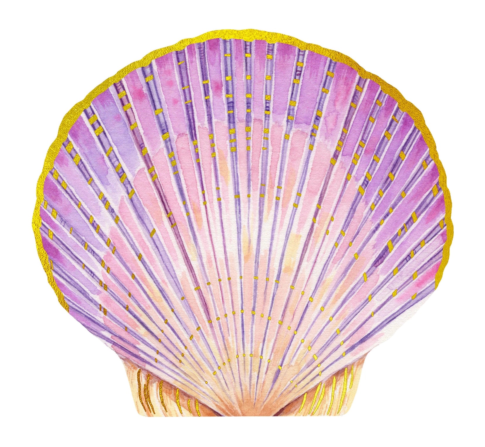 Chronicle Books - Shell Notes