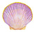 Chronicle Books - Shell Notes