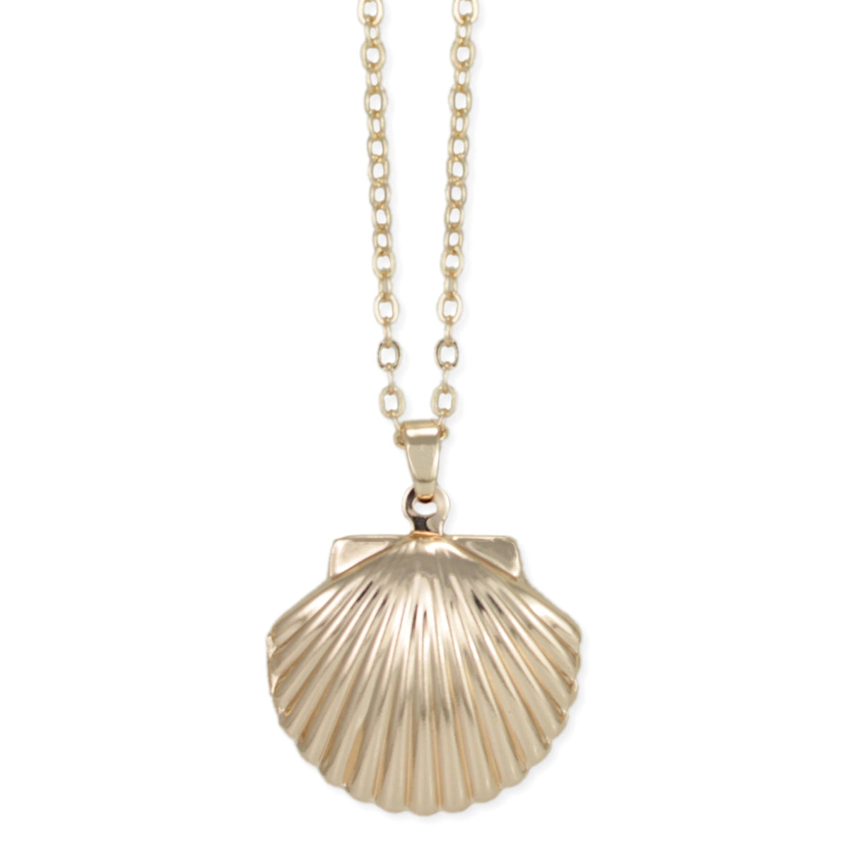 Zad - Ocean Memories Gold Shell Locket Necklace