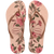 Havaianas - Slim Organic Flip Flops - Ballet Rose/Golden Blush (Add-On)