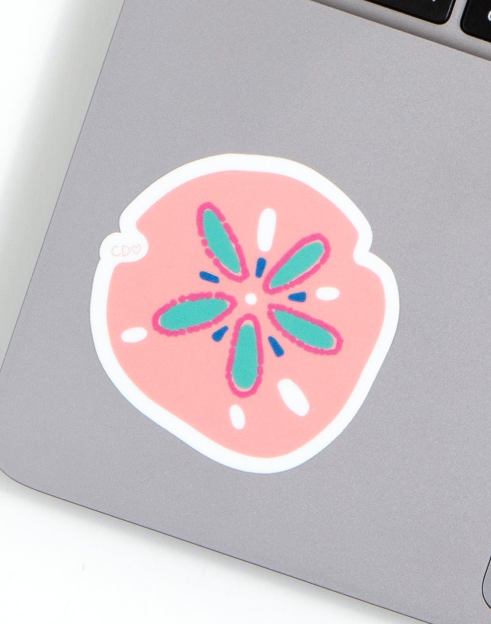 Sand Dollar Decal Sticker