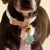 The Darling Effect - Pawfect Collar Charm–Seashell