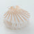 Opal Pearl Seashell Claw Clip - Medium