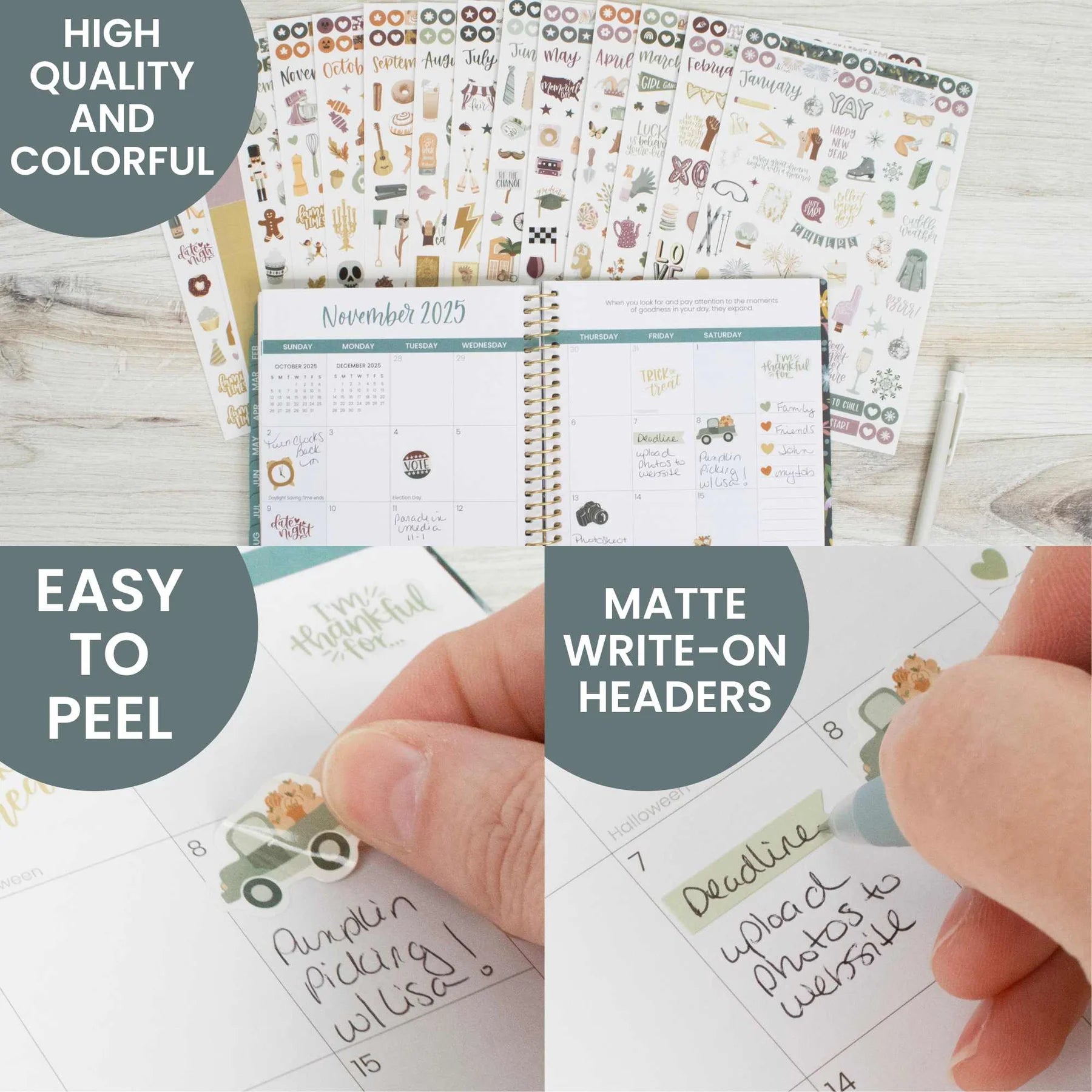 Bloom - Planner Sticker Value Pack, Monthly Celebrations, Cool Tones