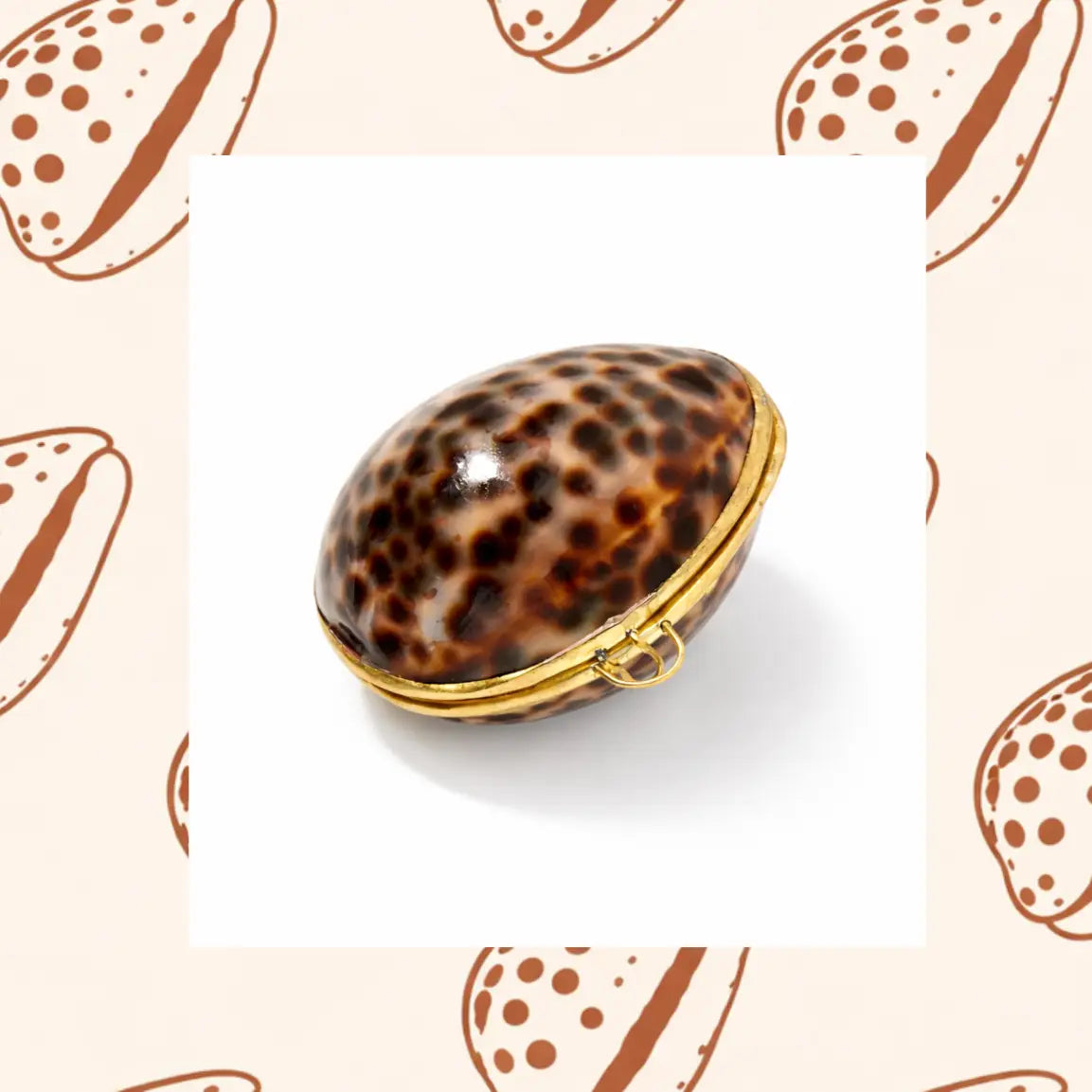 The Coconut Collective - Tiger Cowrie and Clam Jewelry Case (Tiger Cowrie)