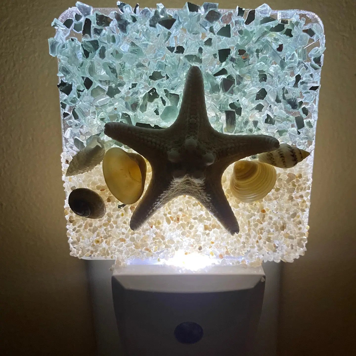 Sea Dreams Coastal Art - Coastal Night Light Starfish with Seashells