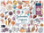 The Beachcomber's Companion 1000 Piece Puzzle