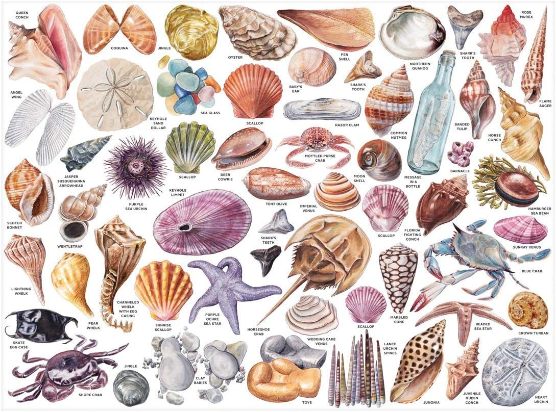 The Beachcomber's Companion 1000 Piece Puzzle